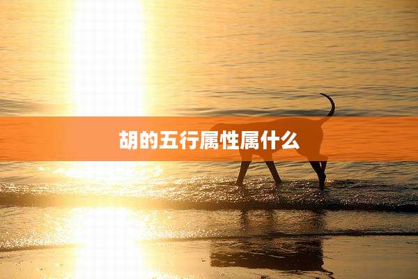 胡的五行属性属什么