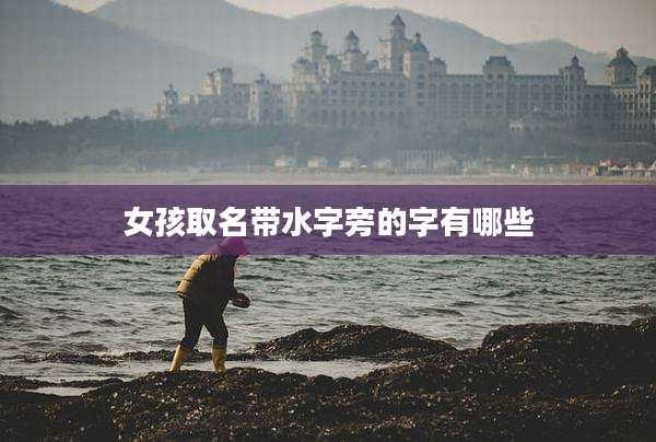 女孩取名带水字旁的字有哪些