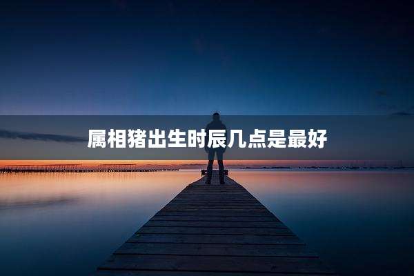 属相猪出生时辰几点是最好