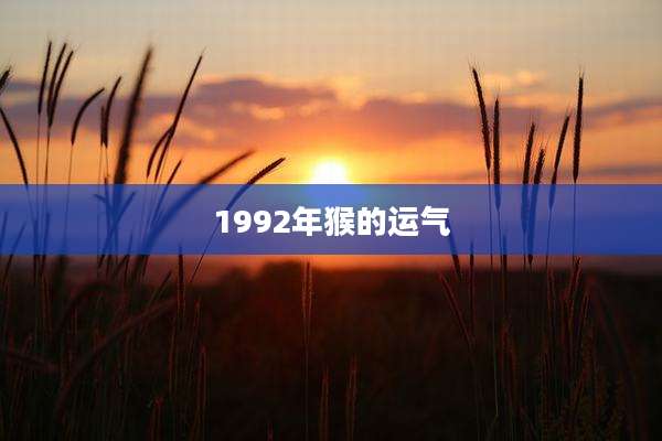 1992年猴的运气
