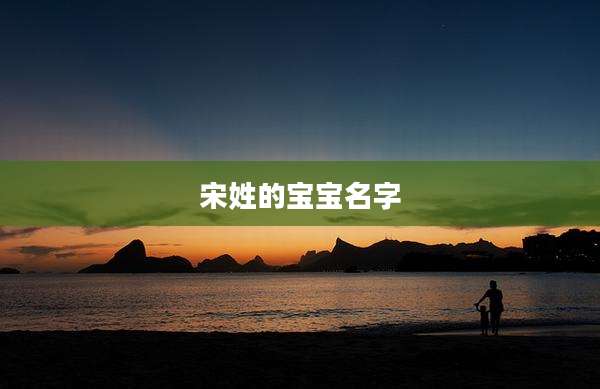 宋姓的宝宝名字