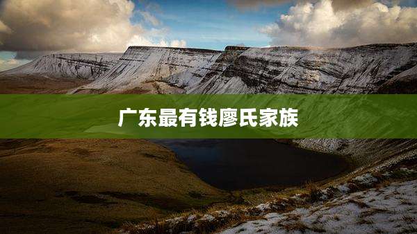 广东最有钱廖氏家族