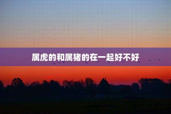 属虎的和属猪的在一起好不好