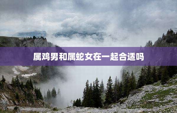 属鸡男和属蛇女在一起合适吗
