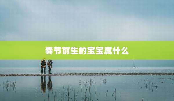 春节前生的宝宝属什么