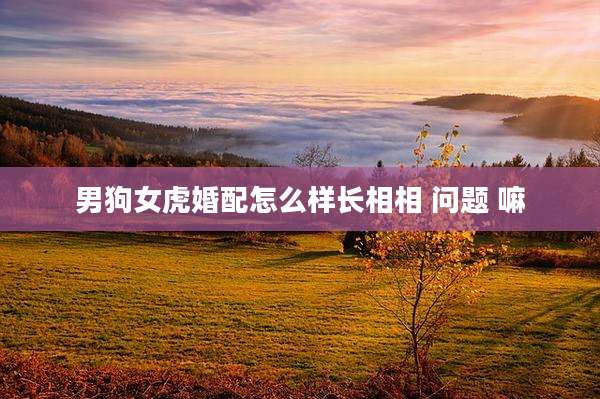 男狗女虎婚配怎么样长相相 问题 嘛