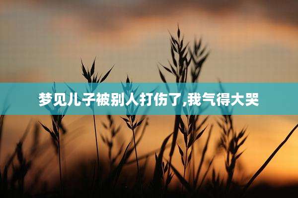梦见儿子被别人打伤了,我气得大哭