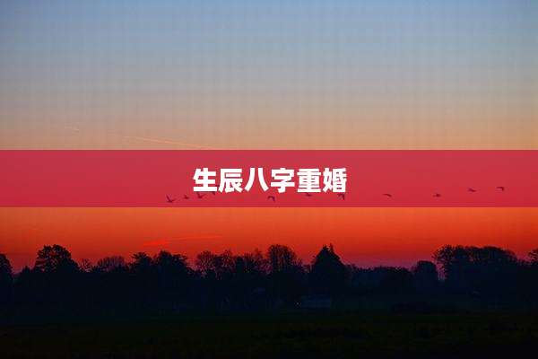生辰八字重婚