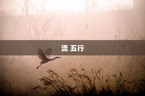 流 五行