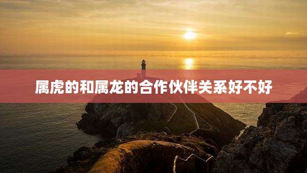 属虎的和属龙的合作伙伴关系好不好