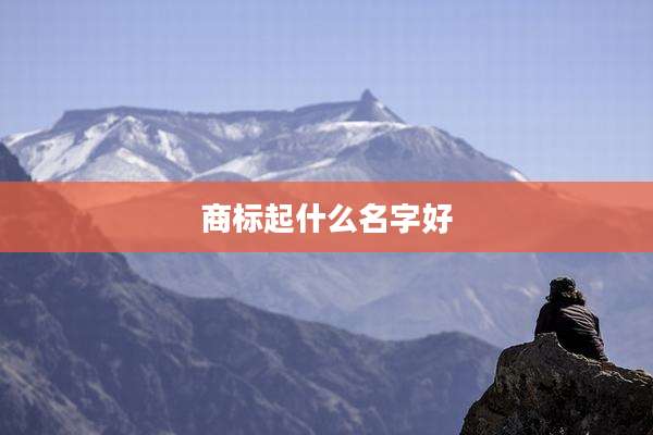 商标起什么名字好