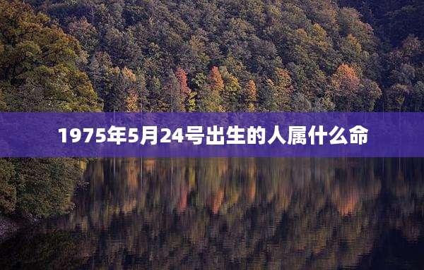 1975年5月24号出生的人属什么命
