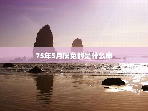 75年5月属兔的是什么命