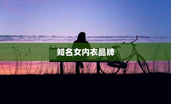 知名女内衣品牌