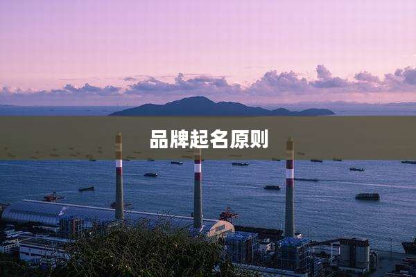 品牌起名原则
