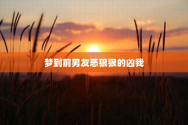 梦到前男友恶狠狠的凶我