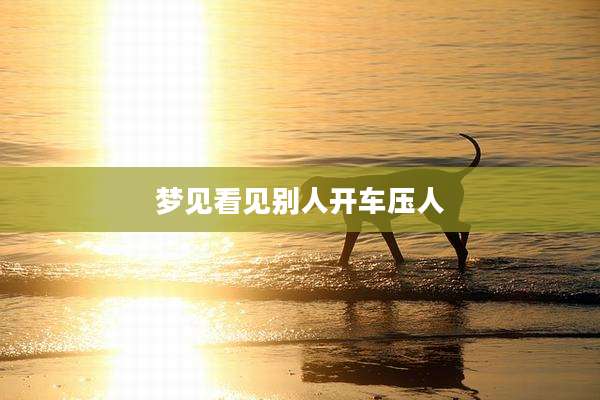 梦见看见别人开车压人