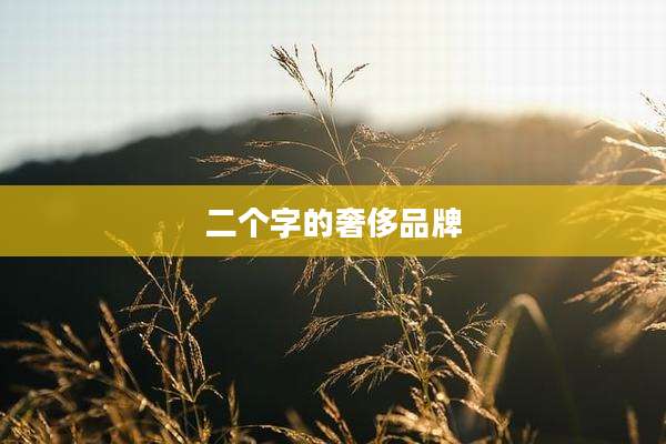 二个字的奢侈品牌