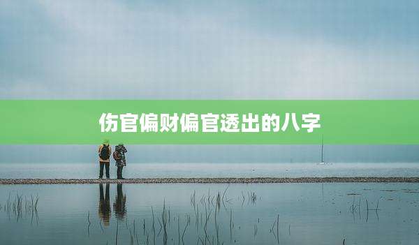 伤官偏财偏官透出的八字