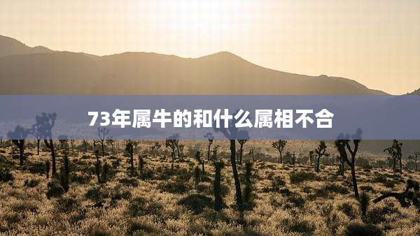 73年属牛的和什么属相不合