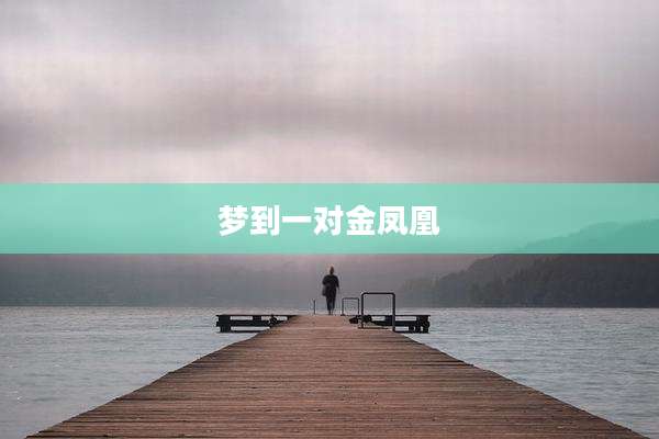 梦到一对金凤凰