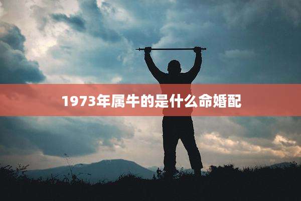 1973年属牛的是什么命婚配