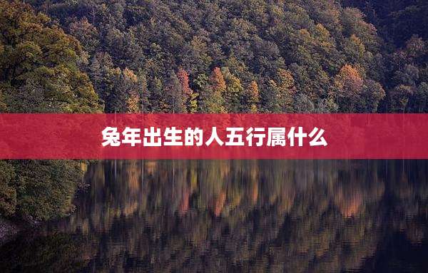兔年出生的人五行属什么