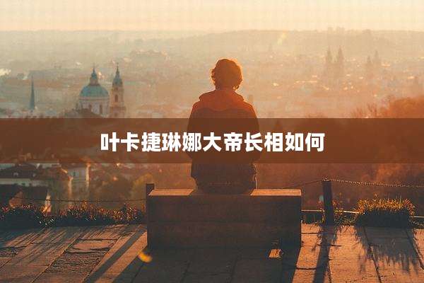 叶卡捷琳娜大帝长相如何