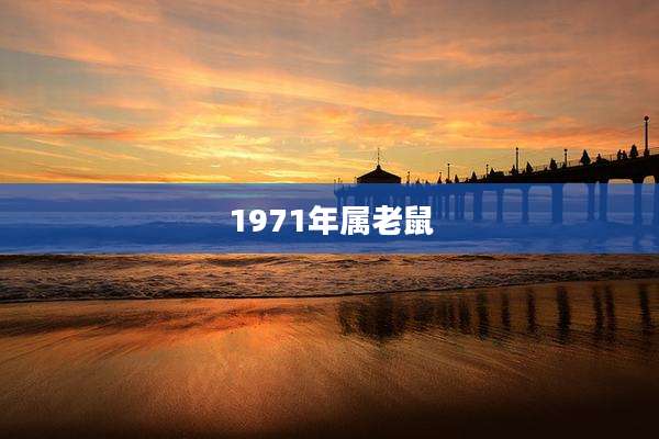 1971年属老鼠