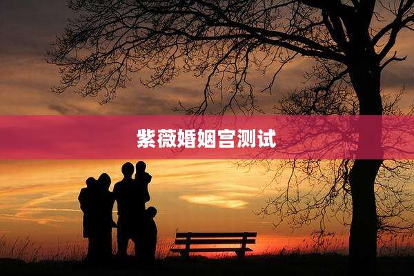 紫薇婚姻宫测试