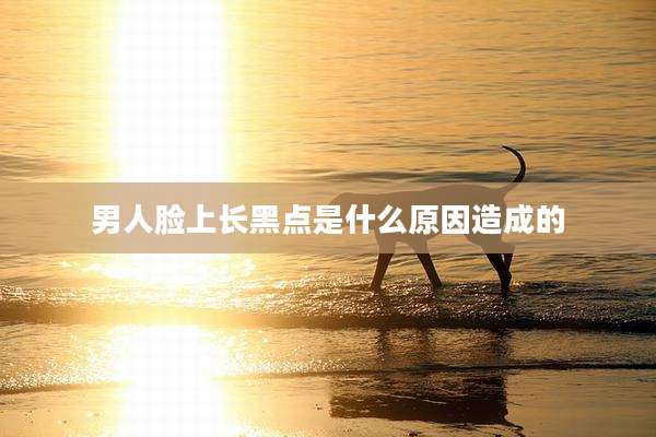 男人脸上长黑点是什么原因造成的