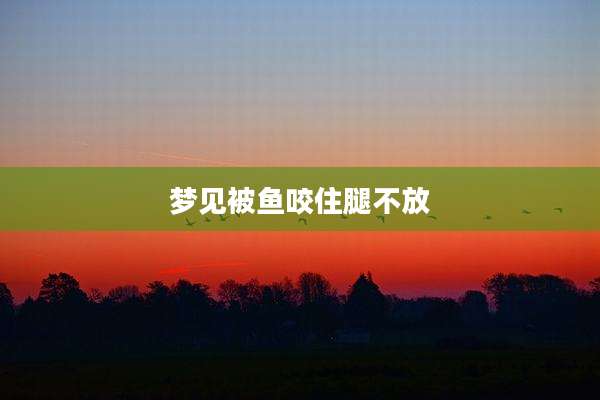 梦见被鱼咬住腿不放