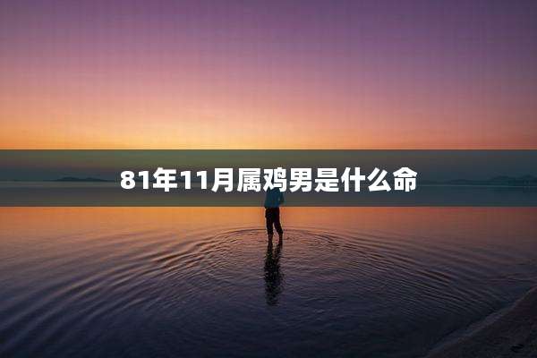 81年11月属鸡男是什么命