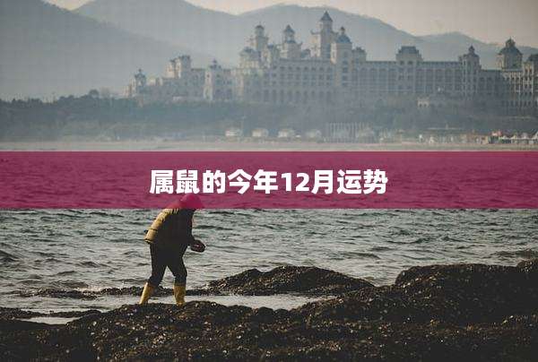 属鼠的今年12月运势