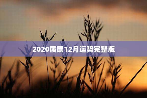 2020属鼠12月运势完整版