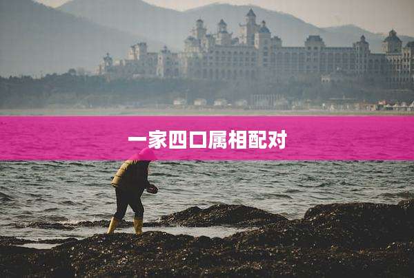 一家四口属相配对
