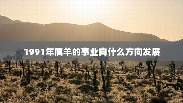 1991年属羊的事业向什么方向发展