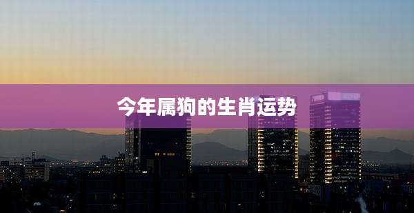 今年属狗的生肖运势