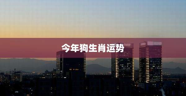 今年狗生肖运势