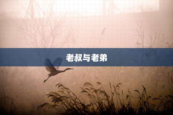 老叔与老弟