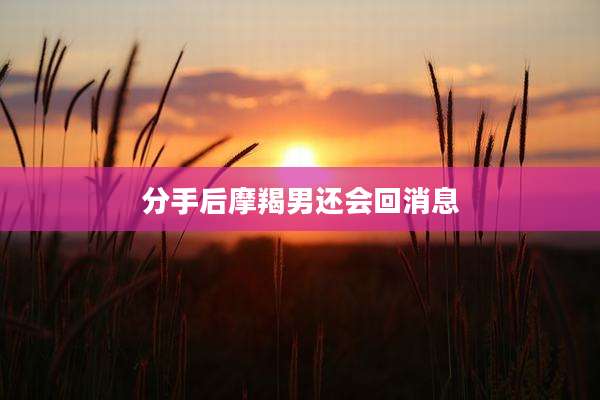 分手后摩羯男还会回消息