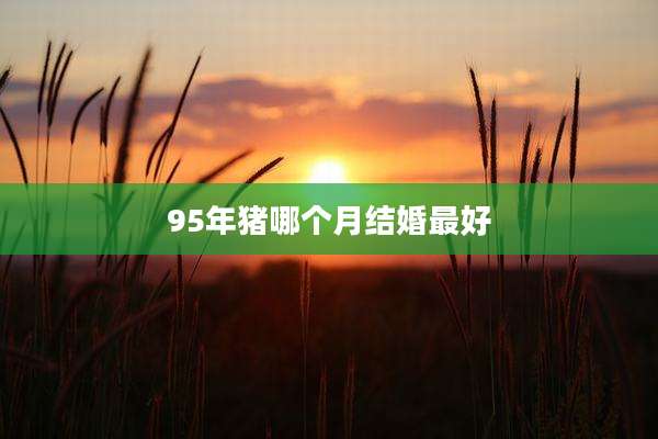 95年猪哪个月结婚最好