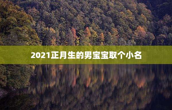 2021正月生的男宝宝取个小名