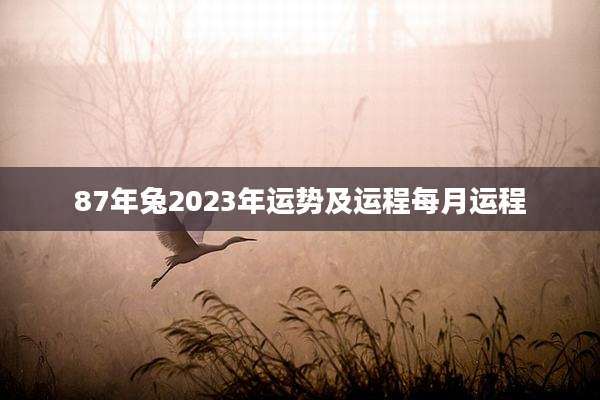 87年兔2023年运势及运程每月运程