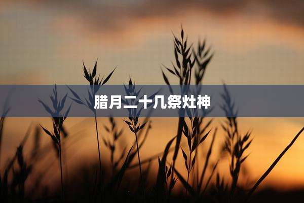 腊月二十几祭灶神