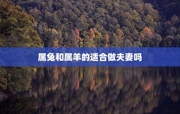 属兔和属羊的适合做夫妻吗