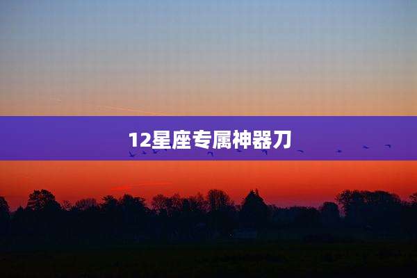 12星座专属神器刀