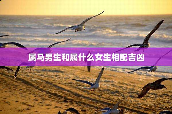 属马男生和属什么女生相配吉凶
