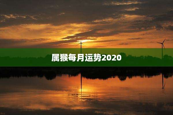 属猴每月运势2020
