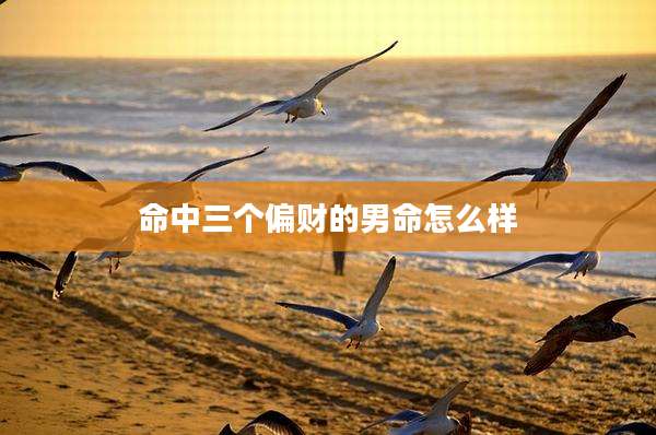 命中三个偏财的男命怎么样